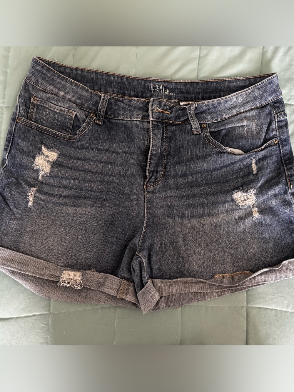 Time and True Distressed Jean Shorts